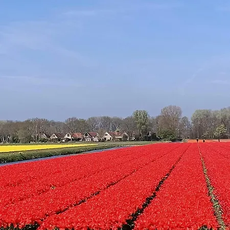 Alk 6 By Interhome Noordwijk