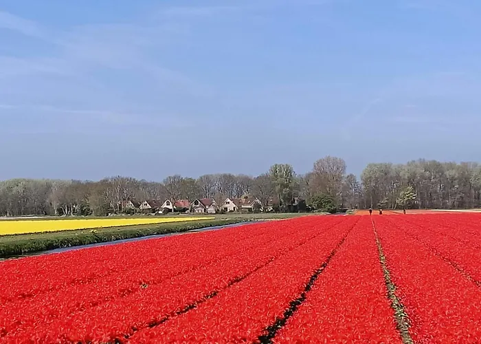 Alk 6 By Interhome Noordwijk